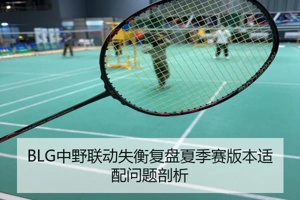 BLG中野联动失衡复盘夏季赛版本适配问题剖析